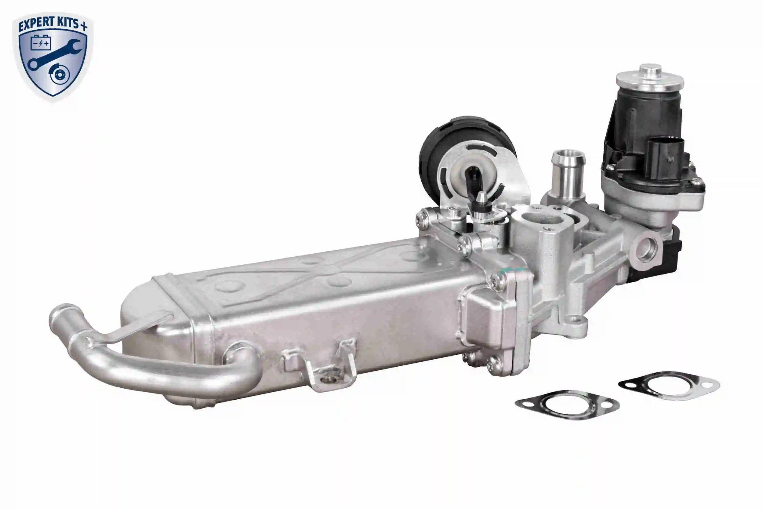 EGR Module