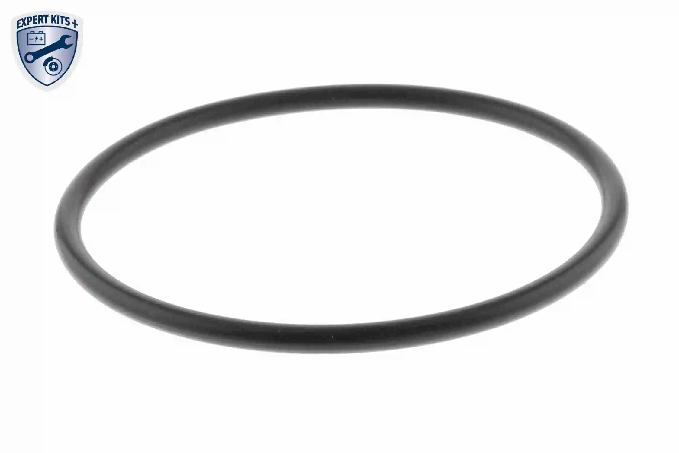 Gasket, EGR valve