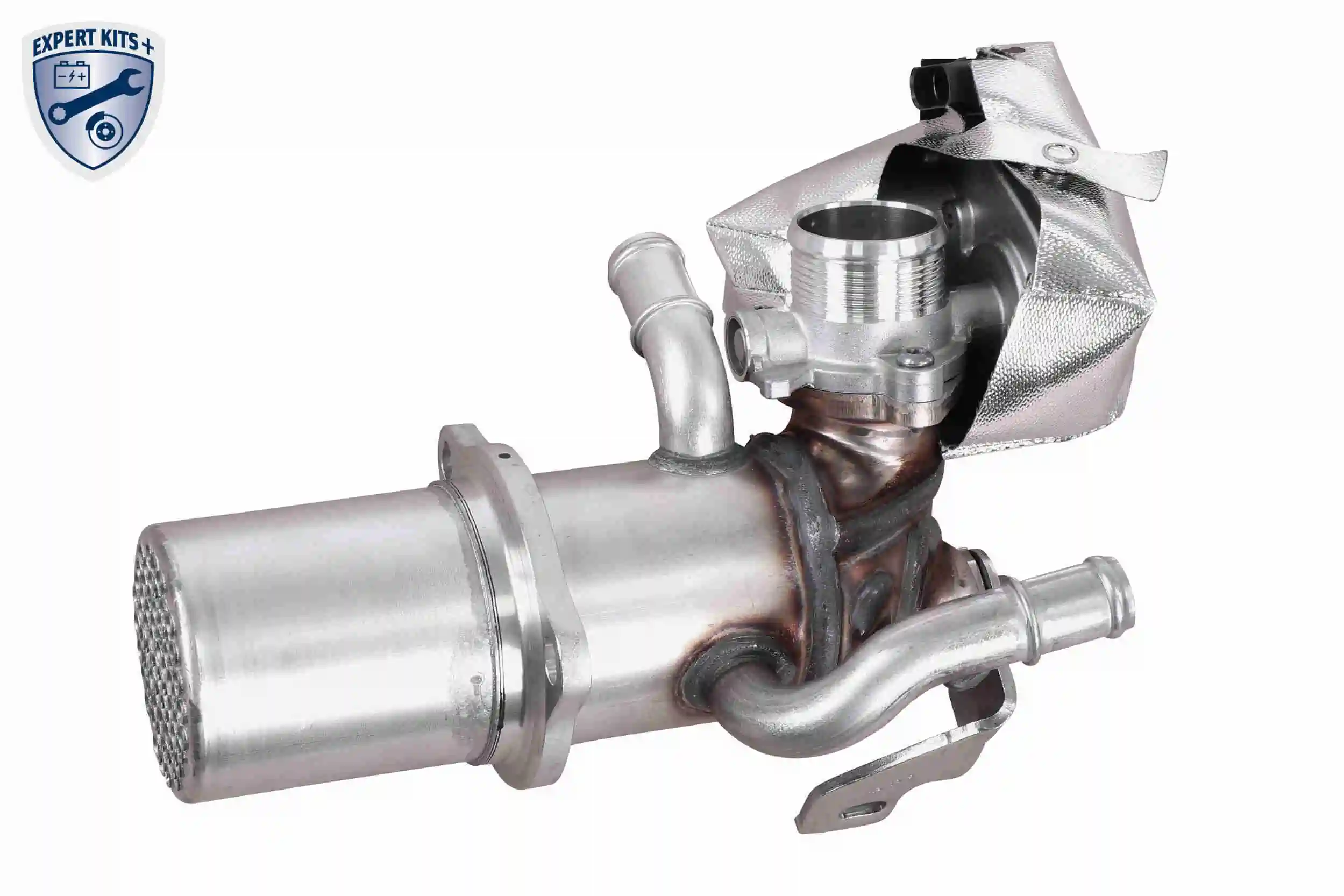 EGR Module
