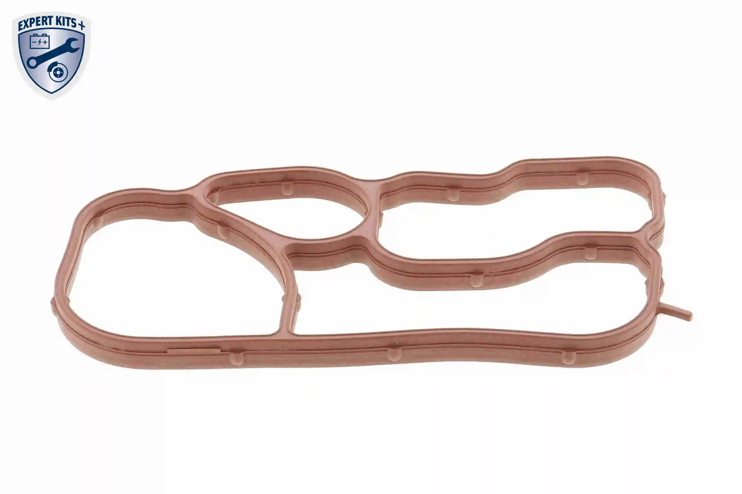 Gasket, oil cooler