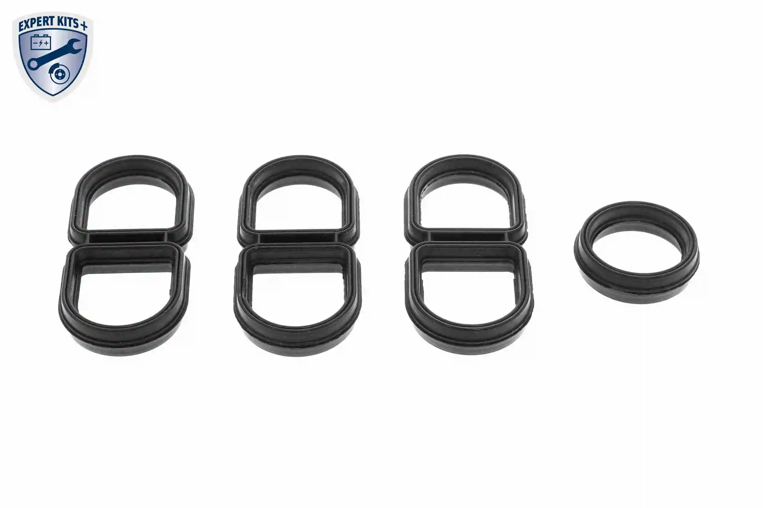 Gasket, oil cooler