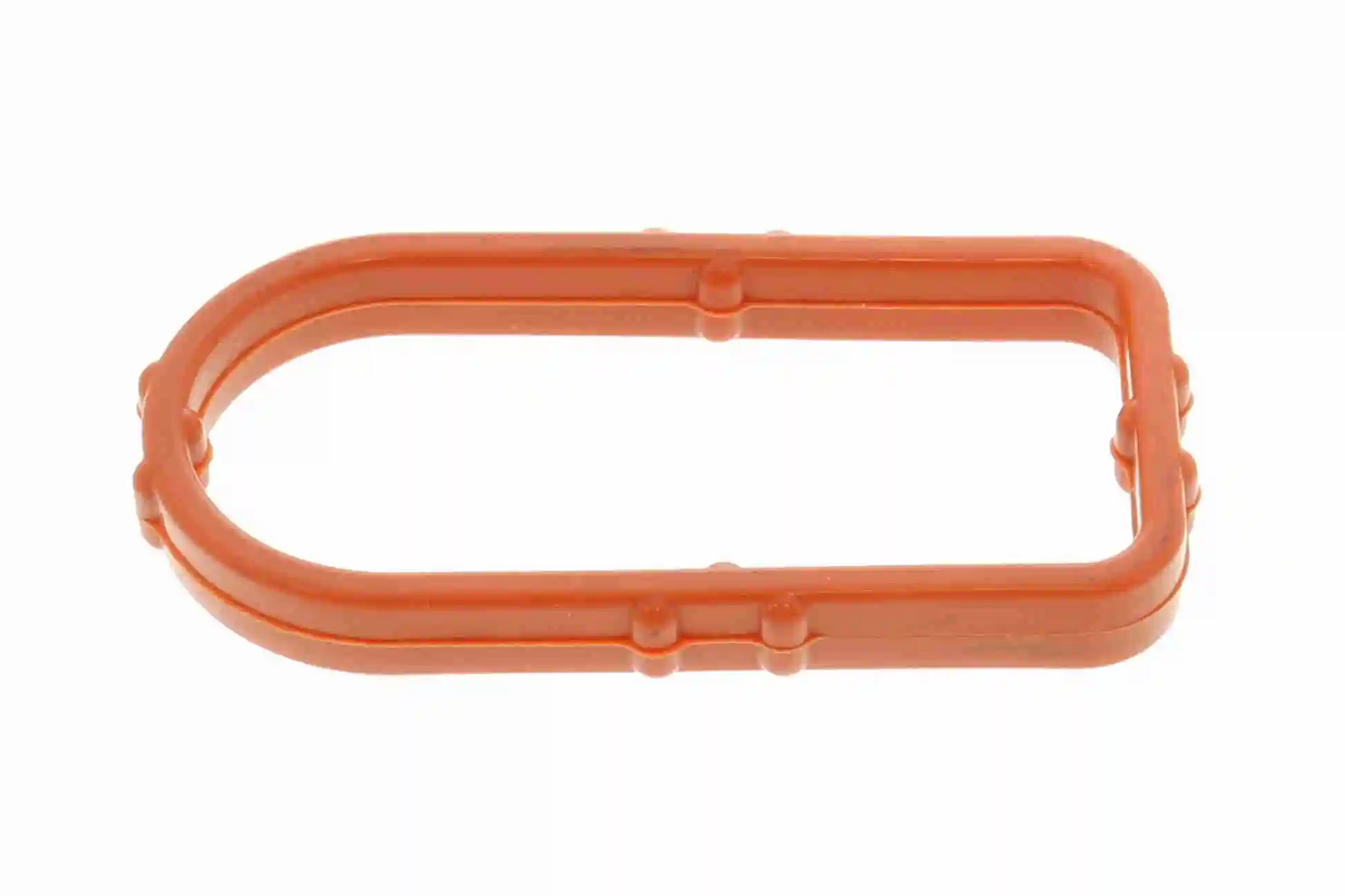 Gasket, oil cooler