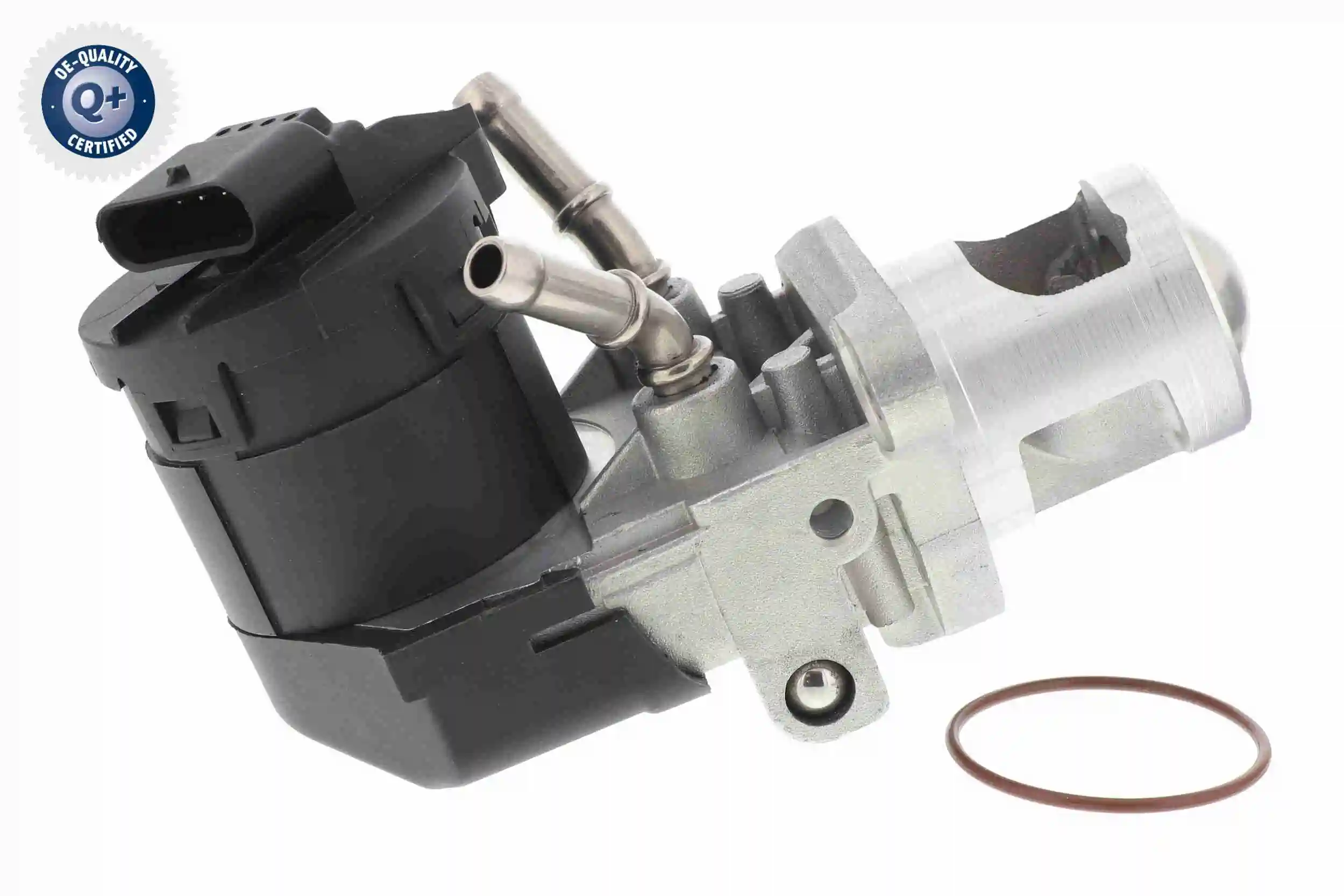 Valve, exhaust gas recirculation