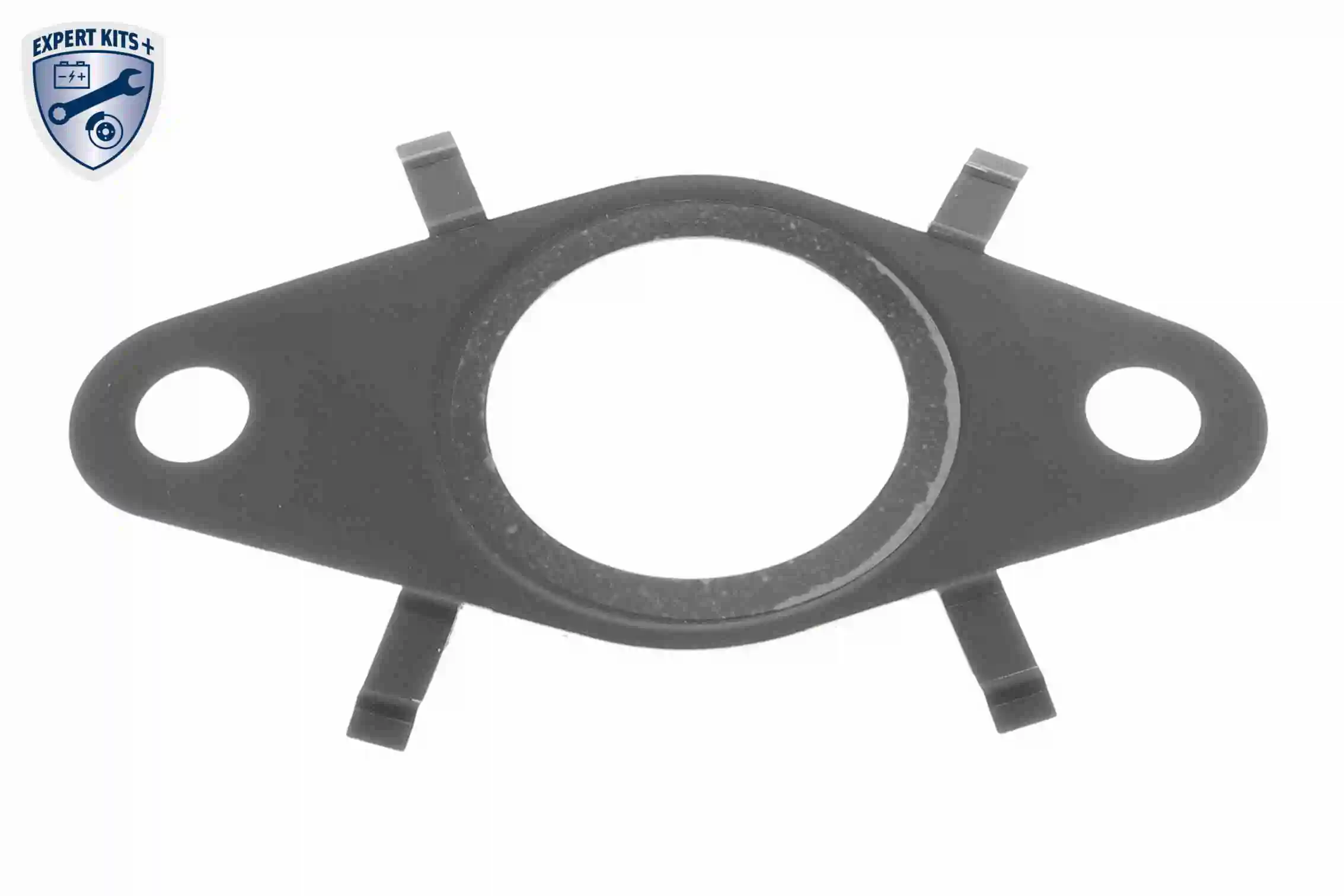 Gasket, EGR valve