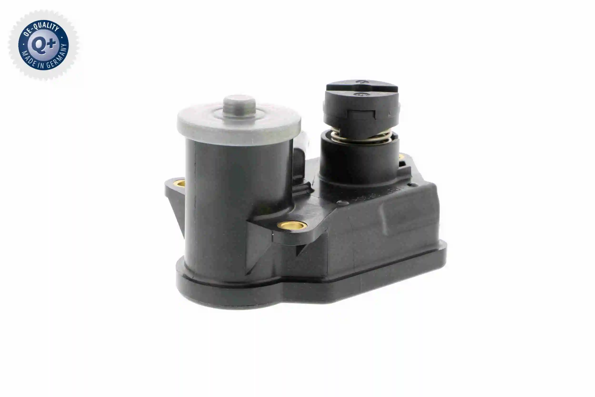 Control, swirl flaps (induction pipe)