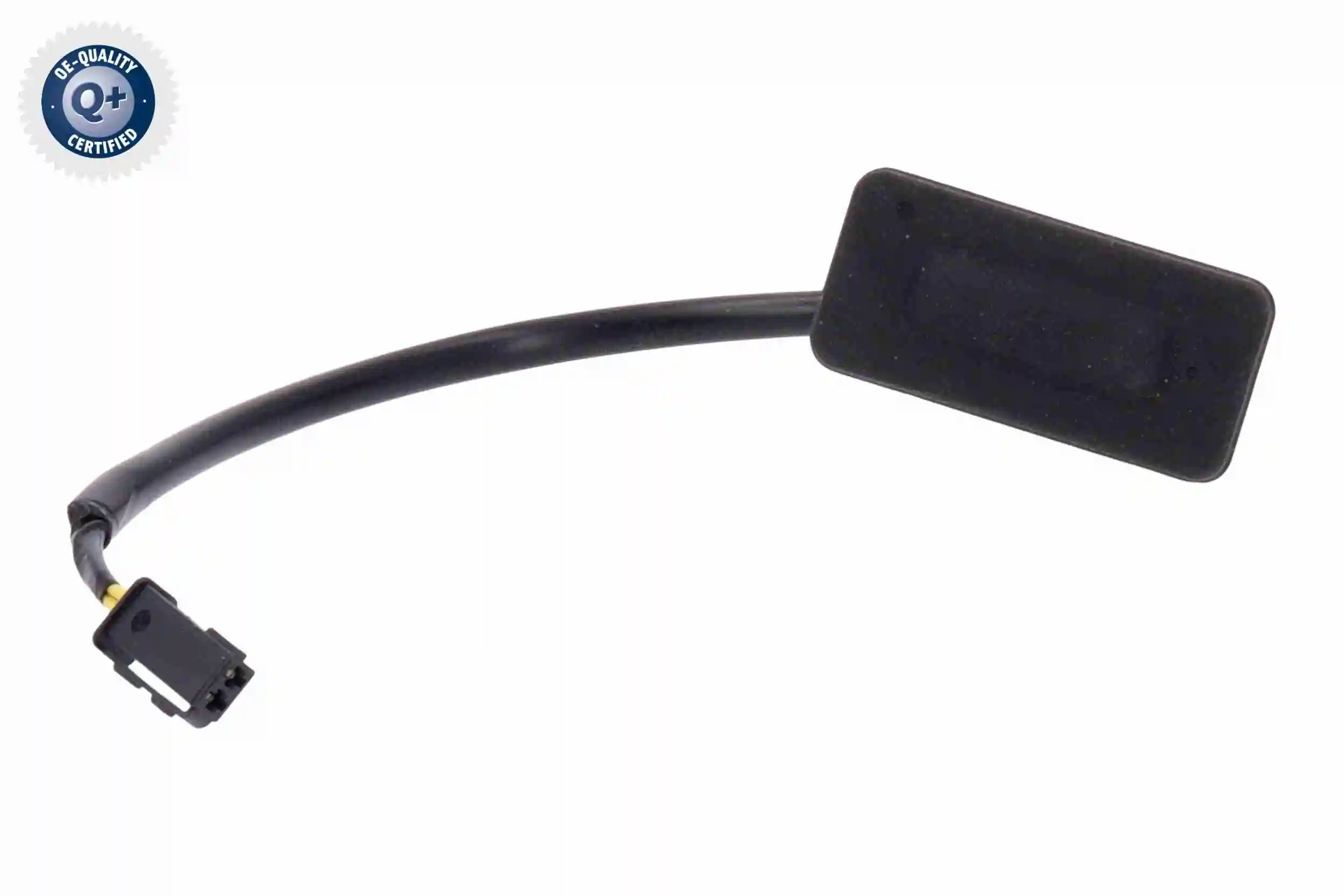 Switch, tailgate release