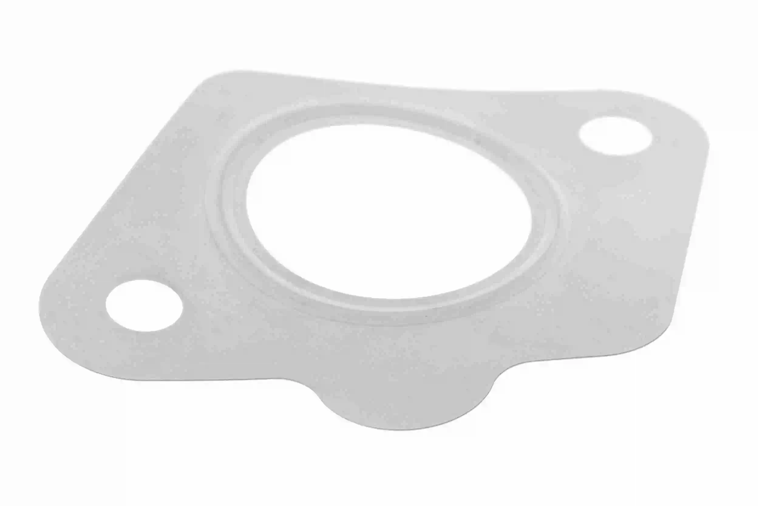 Gasket, EGR valve