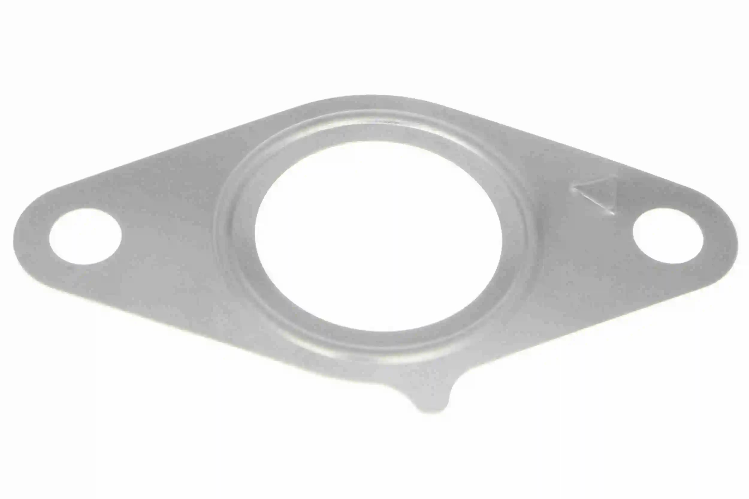 Gasket, EGR valve