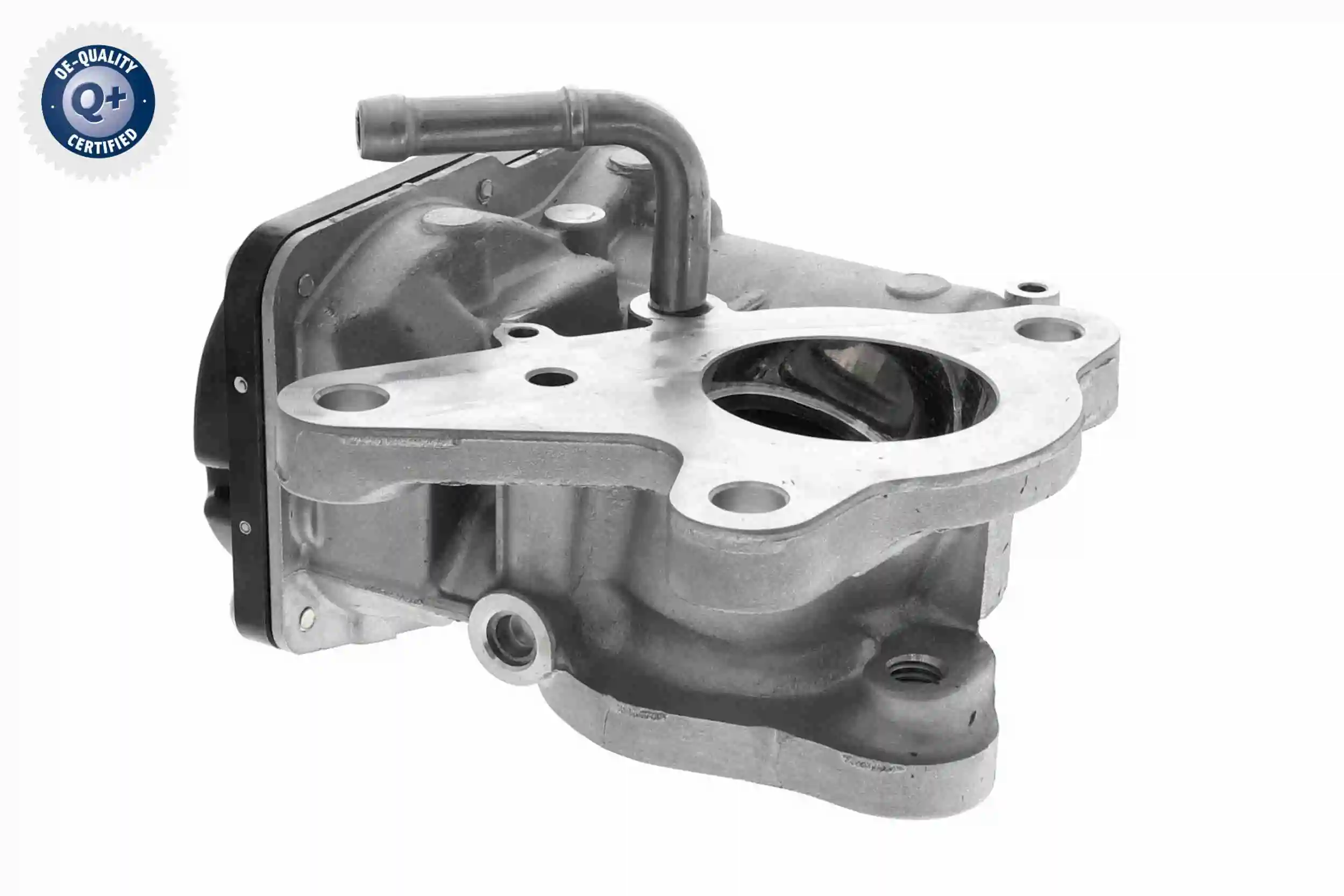 Valve, exhaust gas recirculation