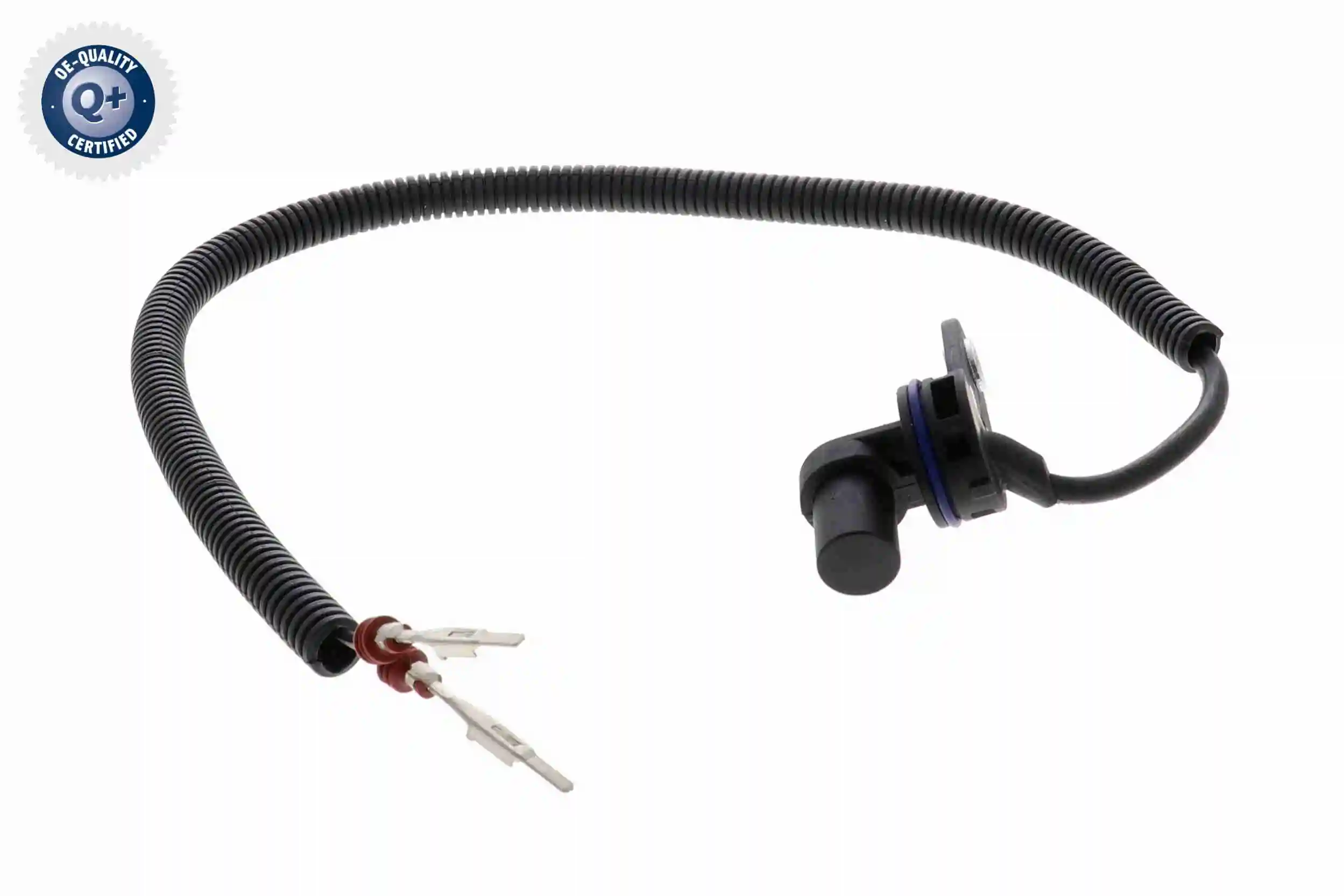 Sensor, speed/RPM