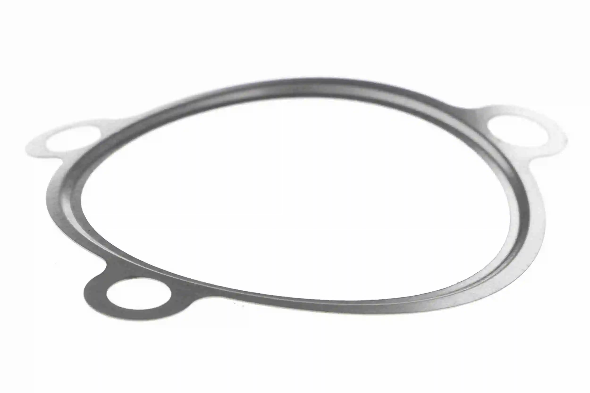 Gasket, EGR valve