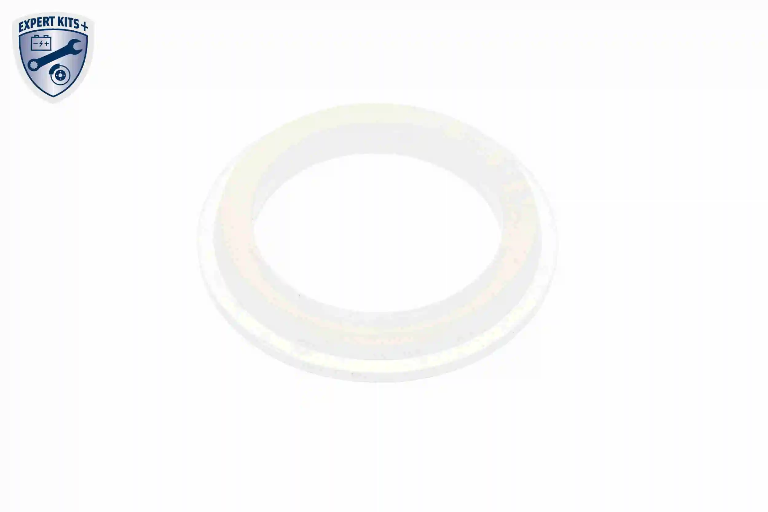 Seal Ring