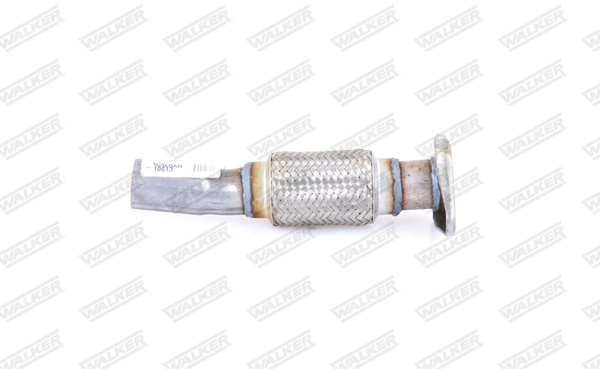 Exhaust Pipe