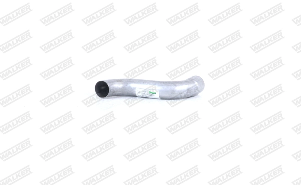 Exhaust Pipe