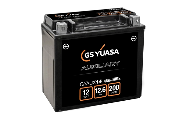 Starter Battery