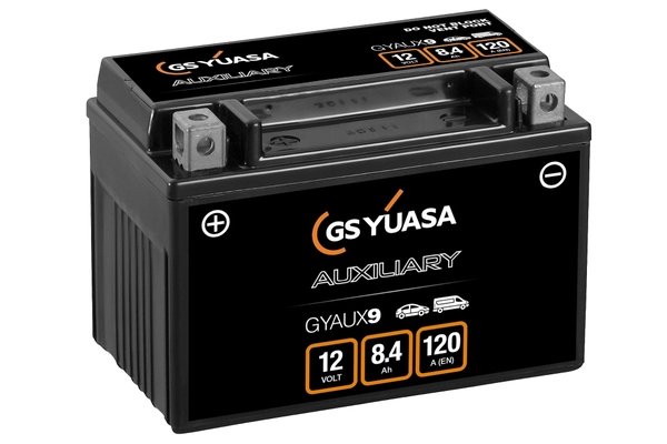 Starter Battery