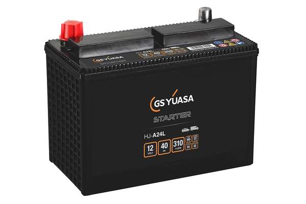 Starter Battery
