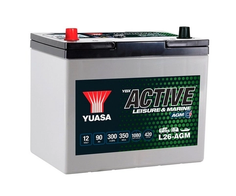 Starter Battery