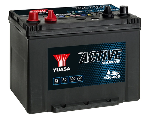 Starter Battery