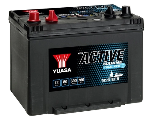 Starter Battery