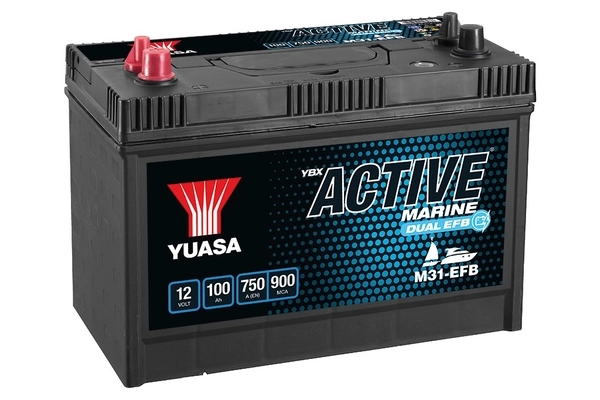 Starter Battery