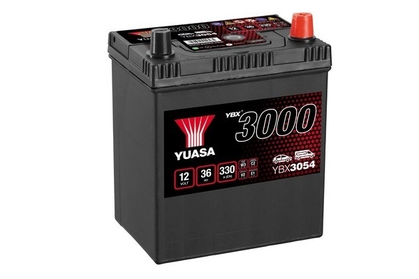 Starter Battery