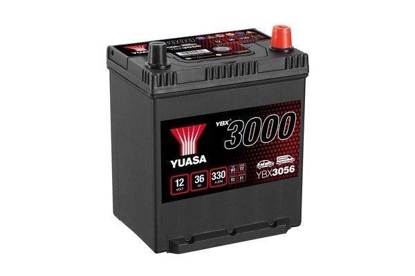 Starter Battery