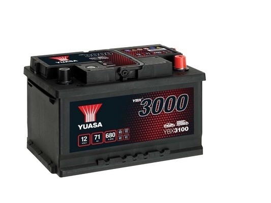 Starter Battery