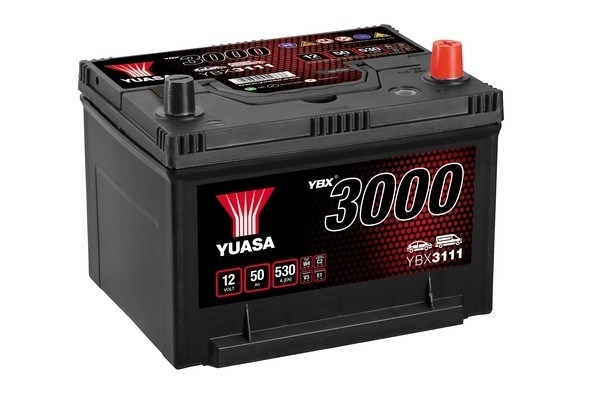 Starter Battery