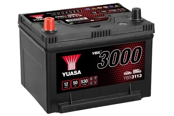 Starter Battery