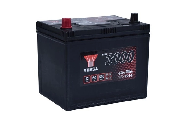 Starter Battery