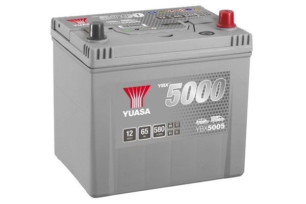 Starter Battery