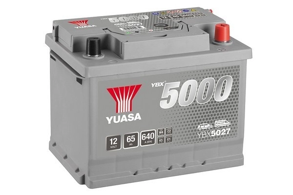 Starter Battery