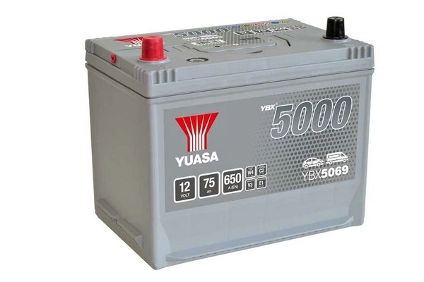 Starter Battery