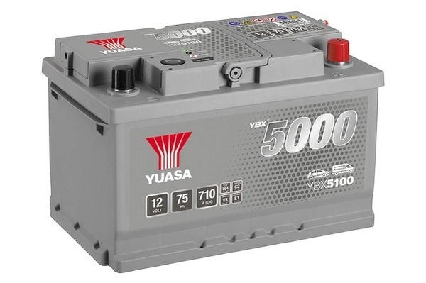 Starter Battery