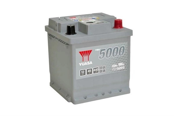 Starter Battery