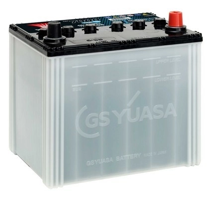 Starter Battery
