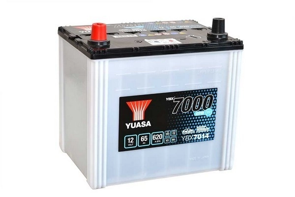 Starter Battery
