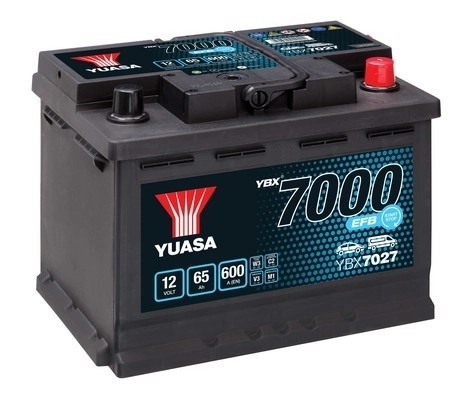 Starter Battery