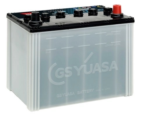 Starter Battery