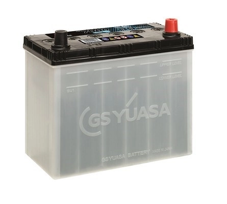 Starter Battery