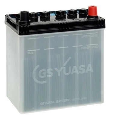 Starter Battery