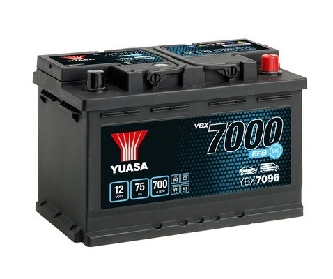 Starter Battery