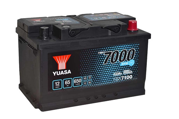 Starter Battery