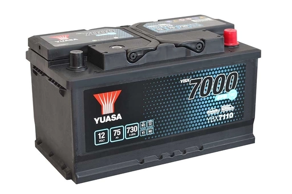 Starter Battery