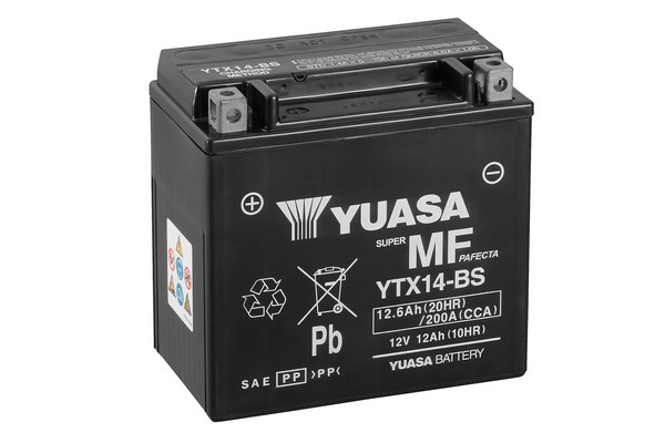 Starter Battery