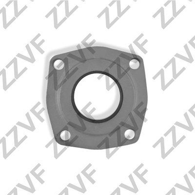 Shaft Seal, differential