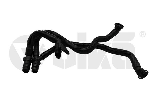 Hose, crankcase ventilation