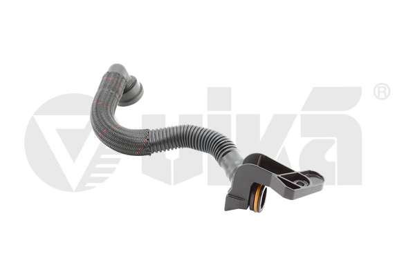 Hose, crankcase ventilation