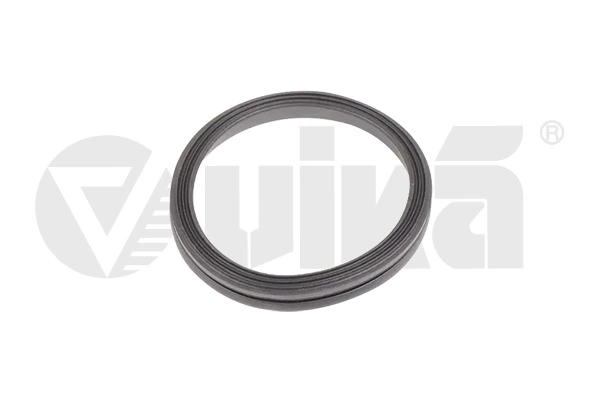 Gasket, timing case cover